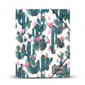 Folder Oh My Pop! Cactus